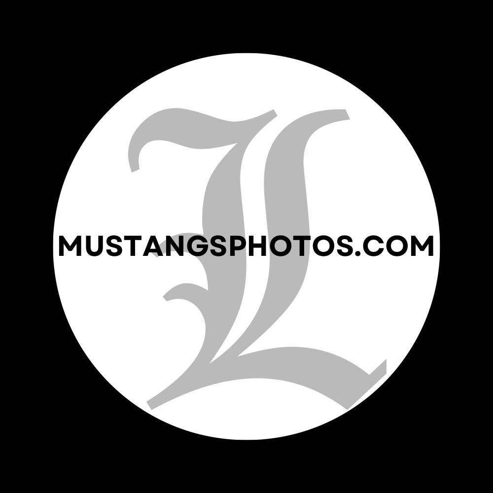 Mustangs Photos logo